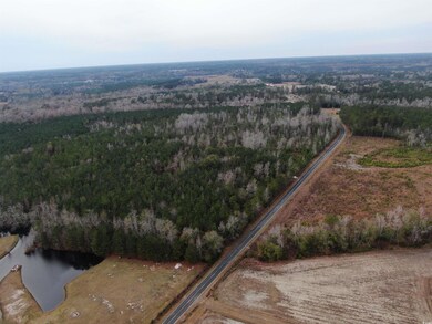 tbd Highway 746, Loris, SC 29569 - photo 7