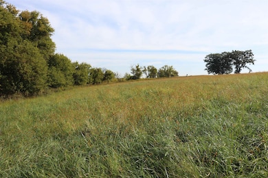 10.54 Acres County Road D, Fall River, WI 53932 - photo 3