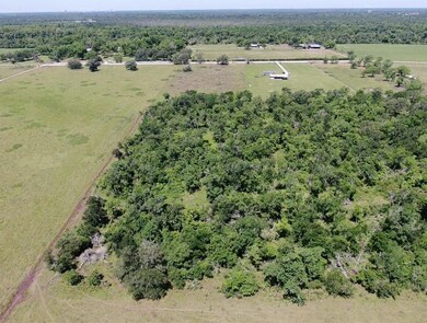 Mature trees