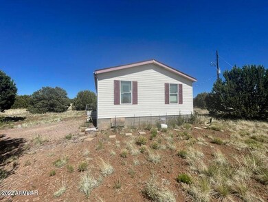 1312 Bourdon Ranch Rd, Show Low, AZ 85901 - photo 4