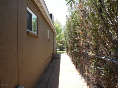 Dog Run