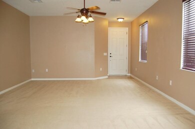 18915 Sunterra Dr, Land O Lakes, FL 34638 - photo 5