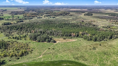 TBD 401st Ave NW, Dalbo Township, MN 55017 - photo 5