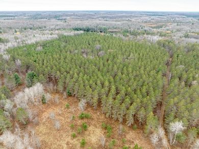 CA-875-5 Sheep Ranch Rd, Rhinelander, WI 54501 - photo 5