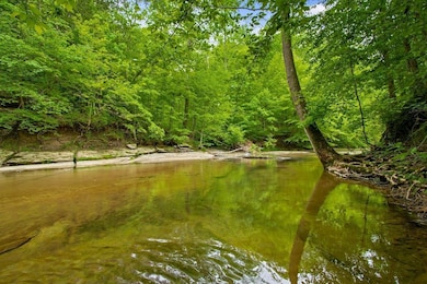 7449 Crow Cut Rd, Fairview, TN 37062 - photo 2