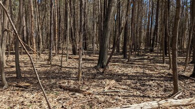 11-13 Shapleigh Dr, Eliot, ME 03903 - photo 3