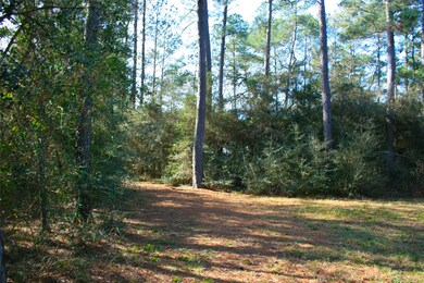 Lot 11 Silver Elm Place, Magnolia, TX 77355 - photo 3