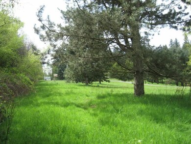 10650 SE Twolors Ln, Boring, OR 97009 - photo 2