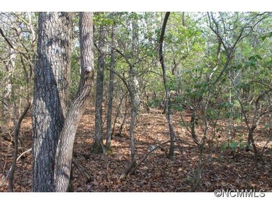 Gentle Sloping Homesite