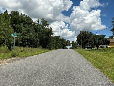 7870 N Merrimac Way, Citrus Springs, FL 34434 - photo 4