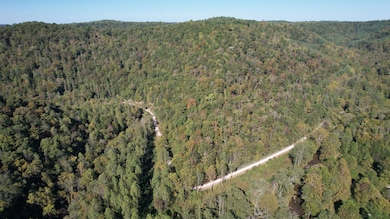 Quicksand Creek Rd, Lambric, KY 41339 - photo 4