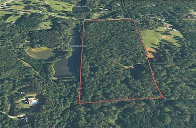 0 Lamb Rd unit 24477803, Moreland, GA 30259 - photo 2