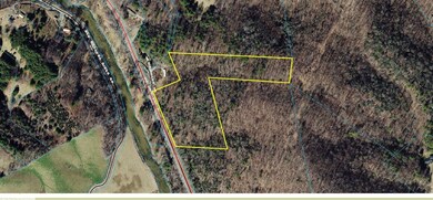 Mckinley Hill, Sugar Grove, NC 28679 - photo 6