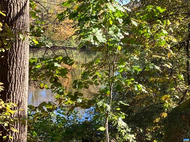 7022 Thomas Jefferson Pkwy, Palmyra, VA 22963 - photo 5