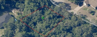 8619 N Dove Orchid Dr, Citrus Springs, FL 34434 - photo 4