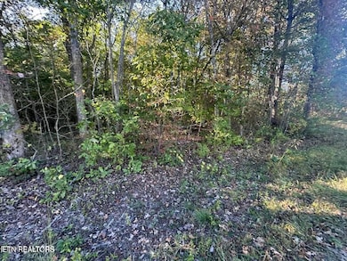 11432696-1wwrMVbdVpGcz3wN