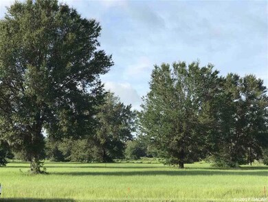 74 SW Mandiba Dr, Lake City, FL 32024 - photo 7