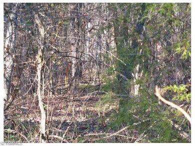 4018,4026 Fairway Dr, Greensboro, NC 27407 - photo 2