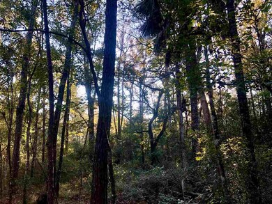 x Flag Lot Off Terrace Ln, Crawfordville, FL 32327 - photo 7