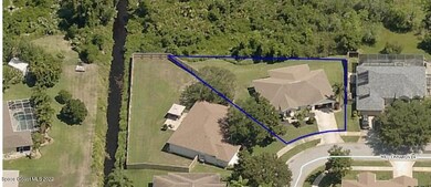 AERIAL 5170 WILD CINNAMON. jpeg