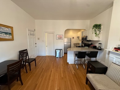 670 Tremont St unit 7, Boston, MA 02118 - photo 7