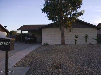 3229 Cholla 2