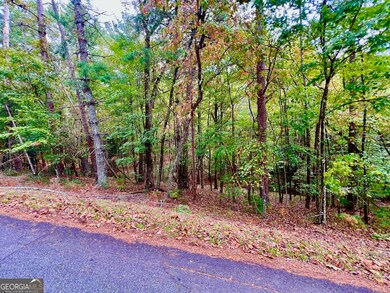 577 Tonto Dr, Ellijay, GA 30540 - photo 7