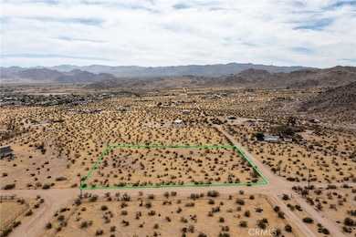 4225 Benji Ave, Joshua Tree, CA 92252 - photo 2