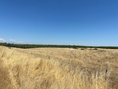 0 Wyer Rd, Arbuckle, CA 95912 - photo 5