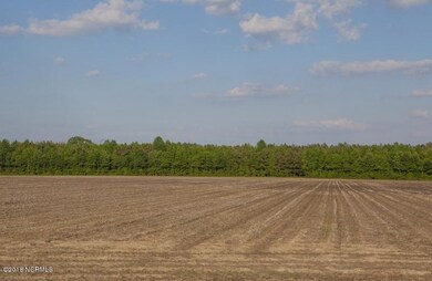 0 Cutchin Farm Rd unit 100147845, Tarboro, NC 27886 - photo 2