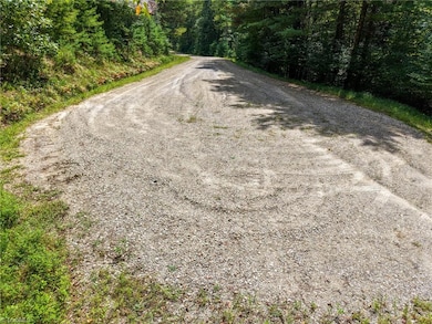 000 Antler Dr, McGrady, NC 28649 - photo 2