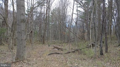 0 Shangri-La Rd unit 1000196351, Bentonville, VA 22610 - photo 2