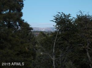 Northern Mountain Views