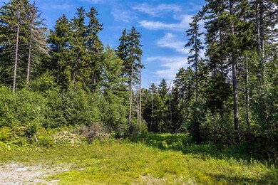 04 Turtle Hill Rd unit 4, Ludlow, VT 05149 - photo 2