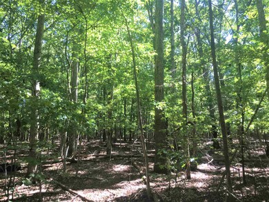 000 W Third St, Siler City, NC 27344 - photo 3