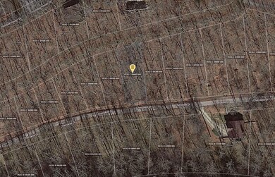 Holiday Ln, Smithville, TN 37166 - photo 6