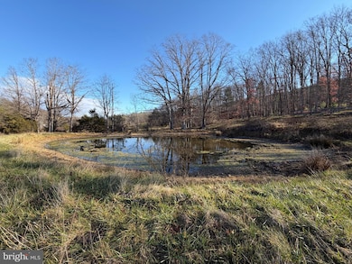 34.58 Ac Off Sperry's Run Rd, Baker, WV 26801 - photo 2