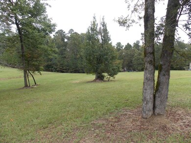 14 Riverview Ct, Lincolnton, GA 30817 - photo 3