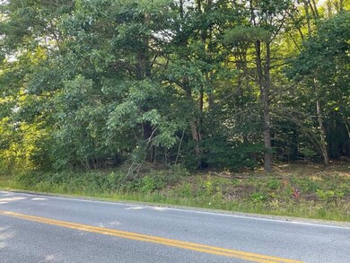 Lot C- 221-1 Elm Street