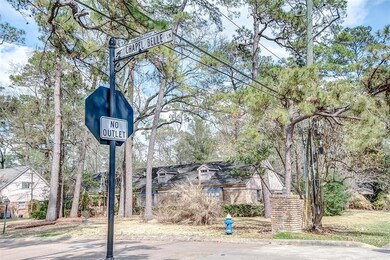 302 Chapel Belle Ln, Houston, TX 77024 - photo 6