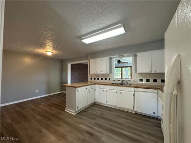 194 Railroad St, Lagrange, OH 44050 - photo 3