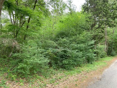 21195 Carter Rd, Splendora, TX 77372 - photo 3