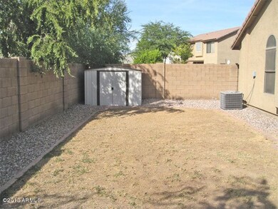BACK-YARD