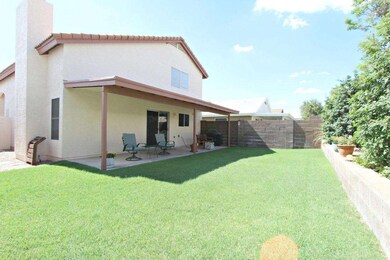 Backyard 4