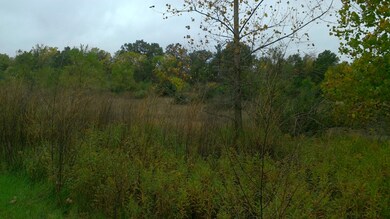 View from Industrial Drive