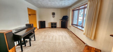 4-208 Beachcomber Ln, Lanark, IL 61046 - photo 3