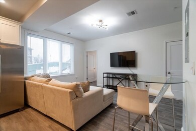 94 George St unit 204, Boston, MA 02119 - photo 4