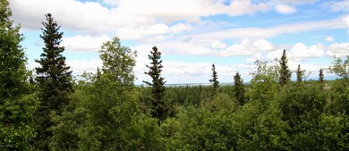 View from Deck