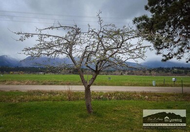 20160413_112646 (1)