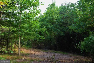 0 Withers Mill Rd unit 1002243054, Huntly, VA 22640 - photo 4